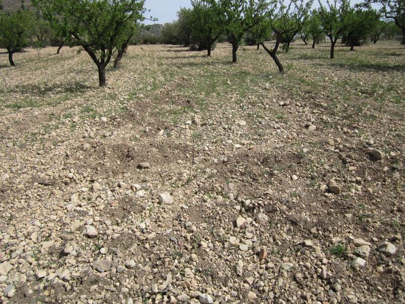 Land for sale