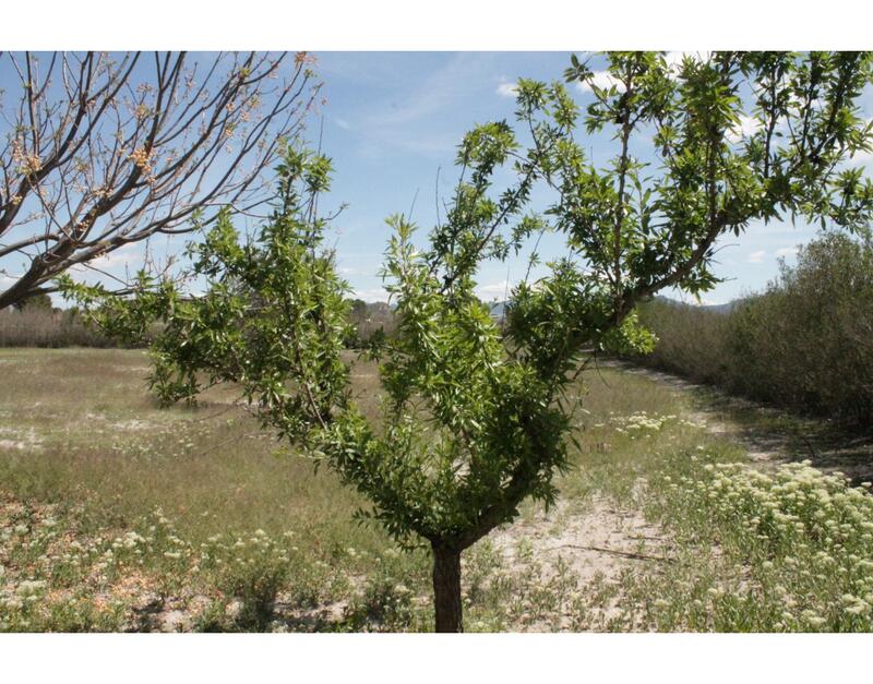 3 bedroom Country House for sale