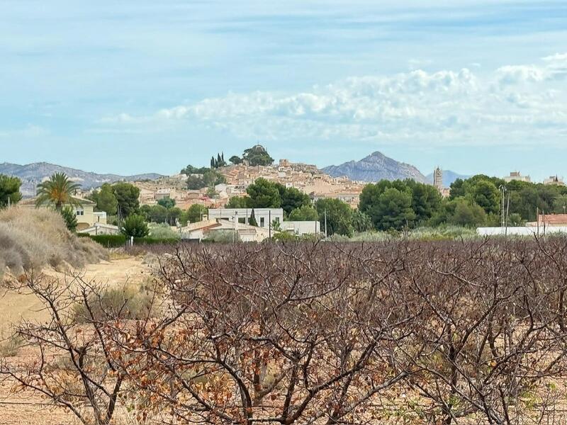 Land for sale in Monóvar, Alicante