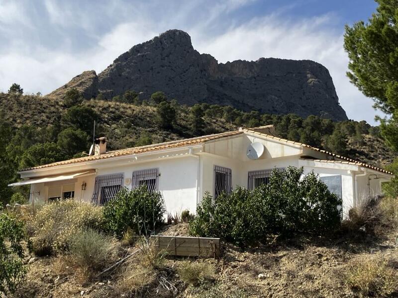 3 Cuarto Villa en venta