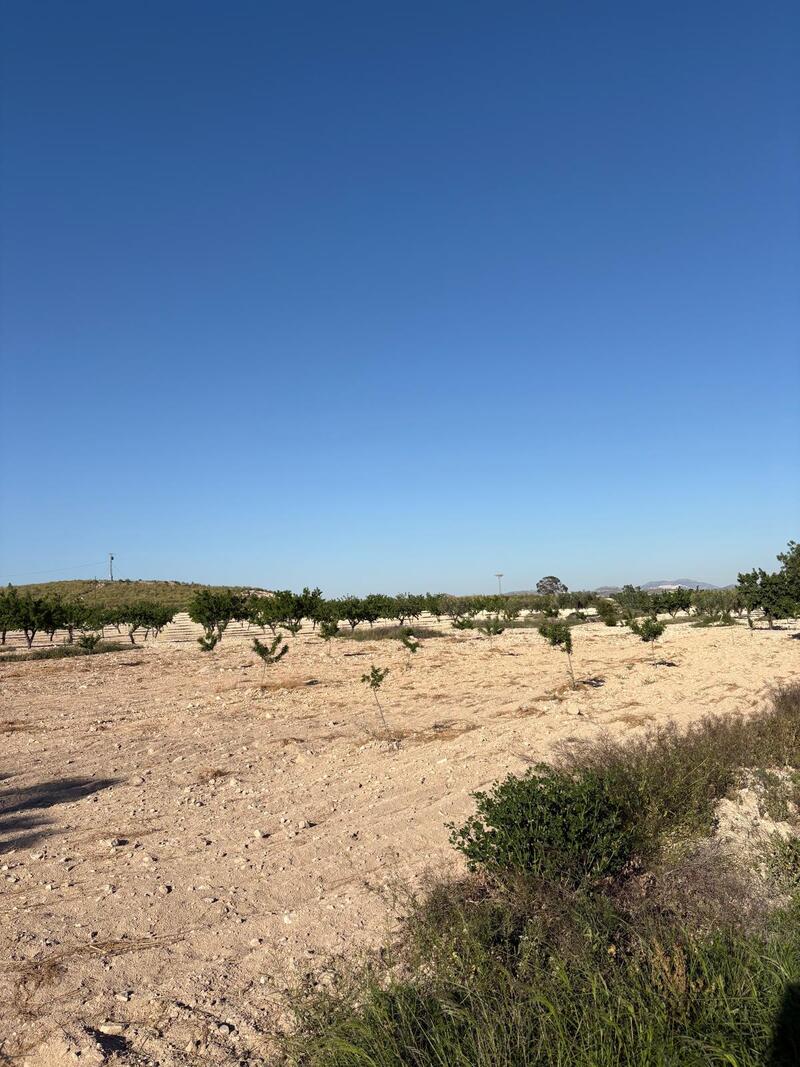 6 Cuarto Casa de Campo en venta