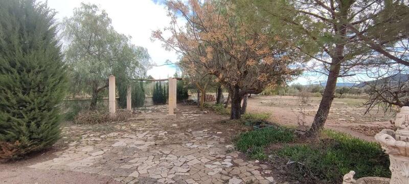 6 Cuarto Casa de Campo en venta