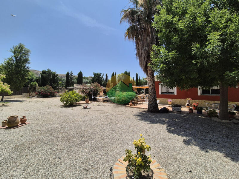 3 chambre Auberge à vendre