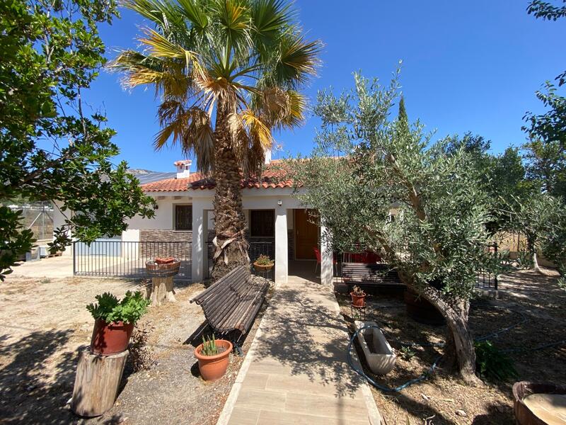 6 chambre Villa à vendre