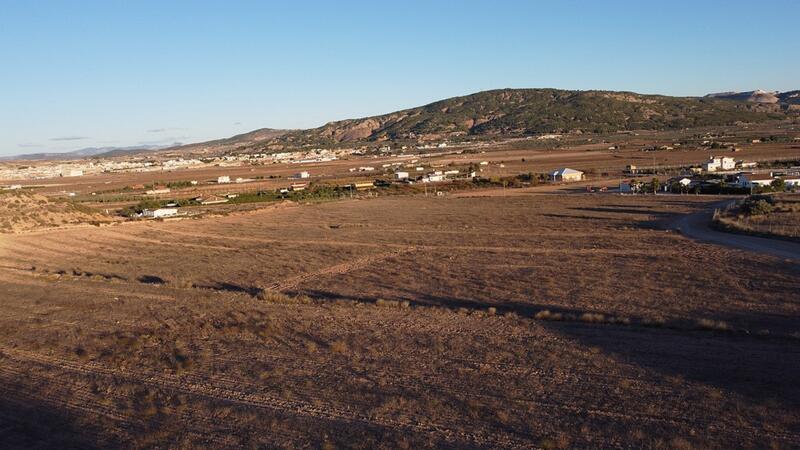 Land Te koop in Pinoso, Alicante