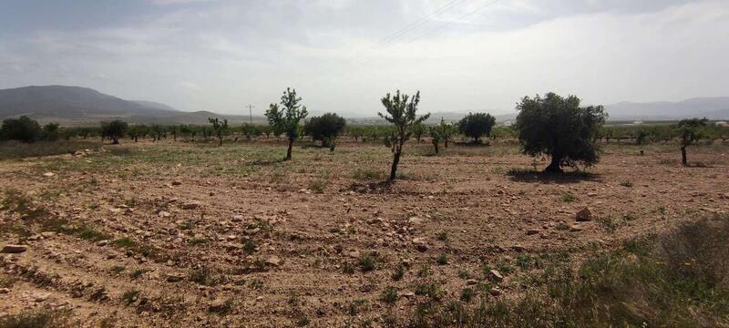 Country House for sale
