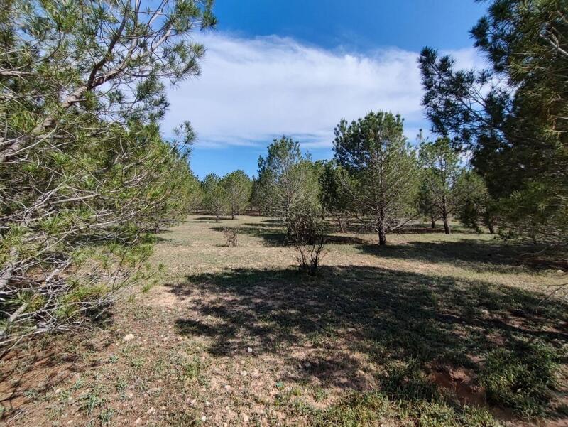 6 Cuarto Casa de Campo en venta