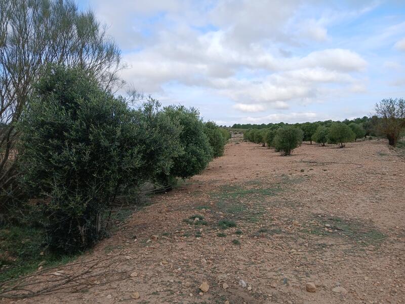 Land Te koop