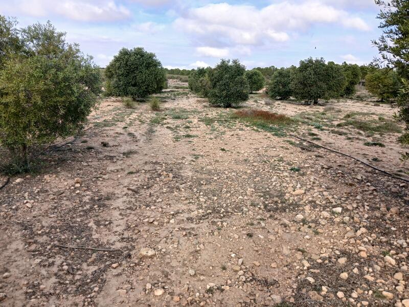 Land Te koop