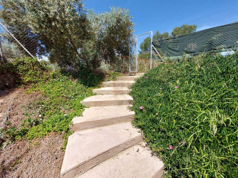 3 Cuarto Casa de Campo en venta
