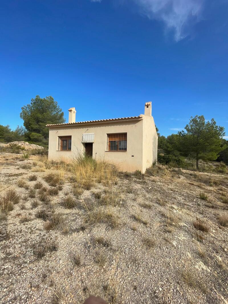 Land for sale in Pinoso, Alicante
