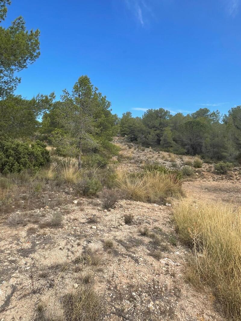 2 bedroom Land for sale
