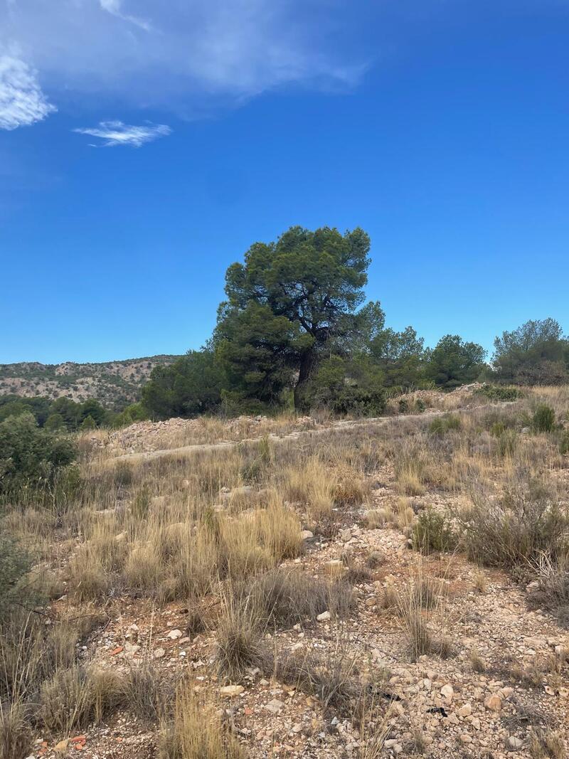 2 bedroom Land for sale