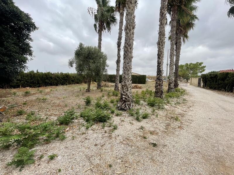 3 chambre Auberge à vendre