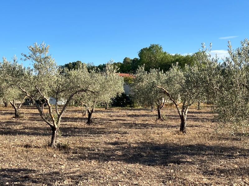 1 bedroom Country House for sale