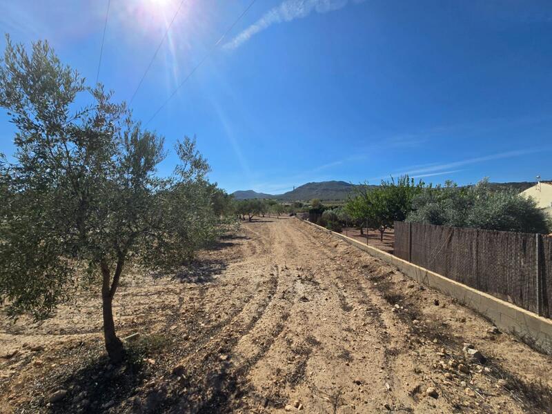 Grundstück zu verkaufen in Salinas, Alicante