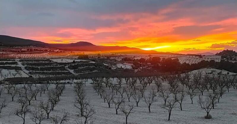 Country House for sale in La Zarza, Murcia
