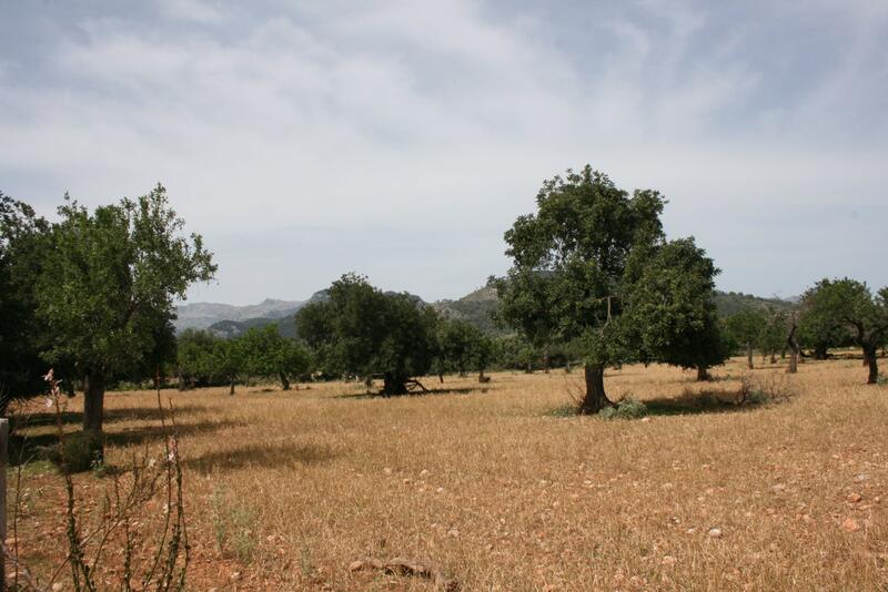 Villa for sale
