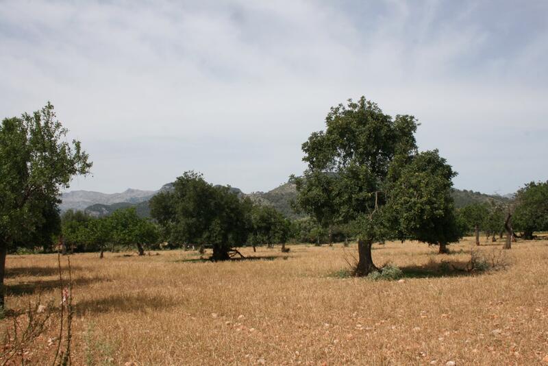 Villa for sale