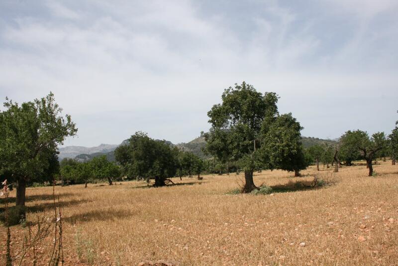 Villa for sale