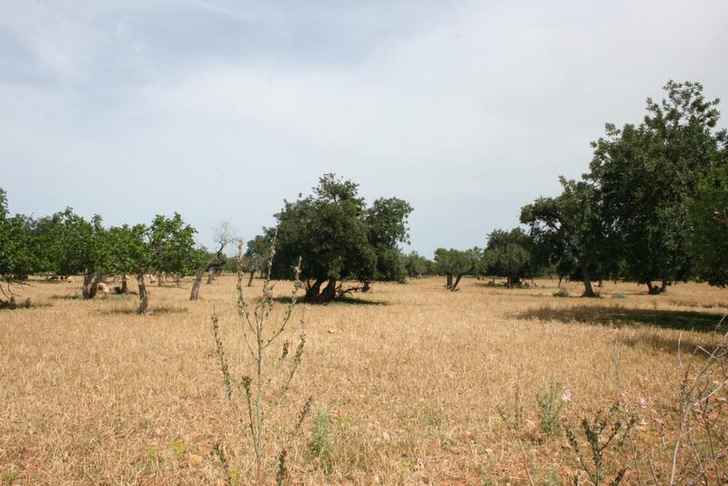 Villa for sale
