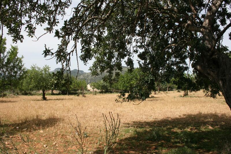 Villa for sale
