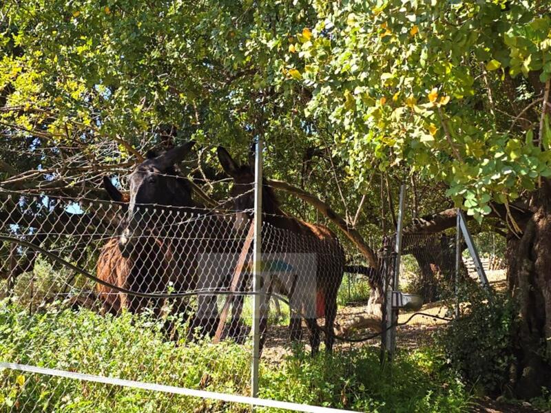5 bedroom Country House for sale