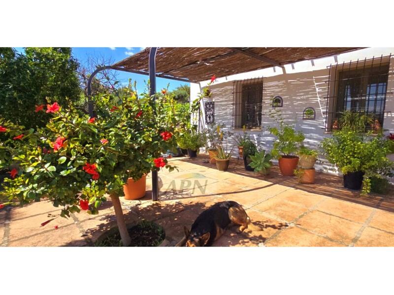 5 bedroom Country House for sale