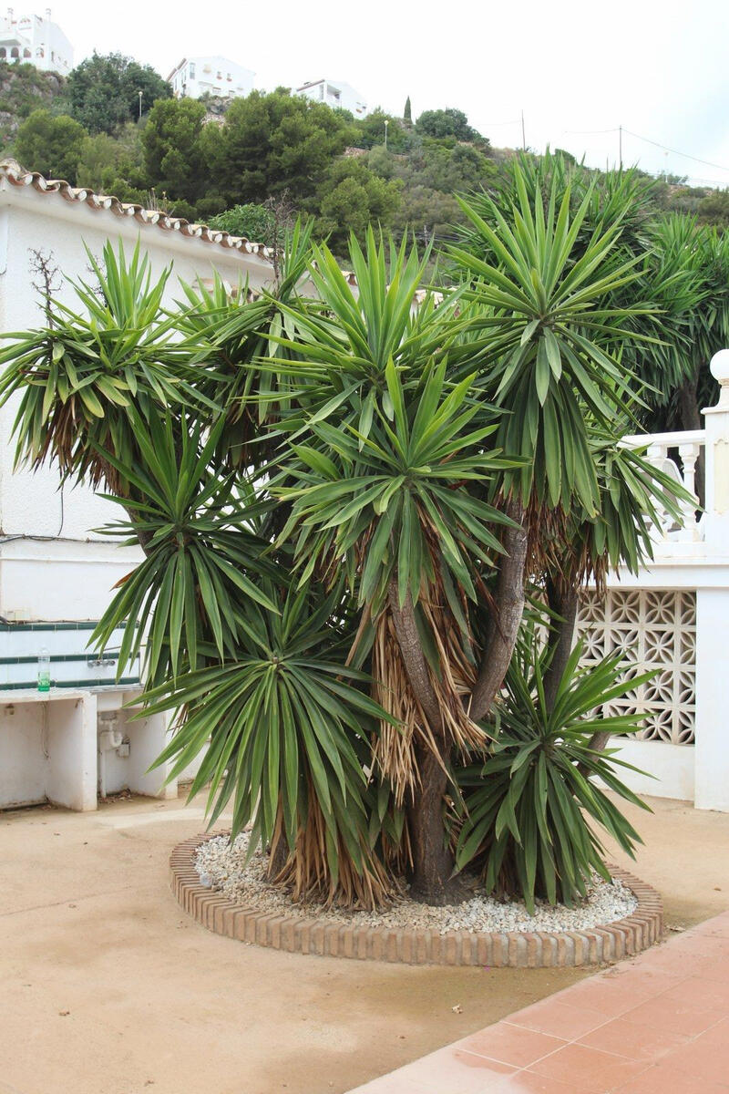 10 bedroom Villa for sale