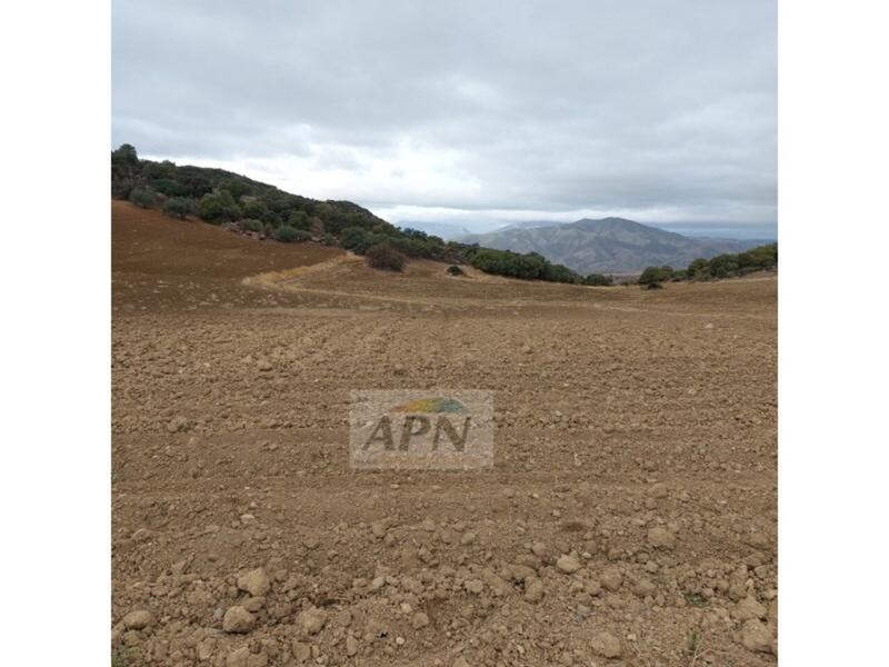 1 bedroom Country House for sale