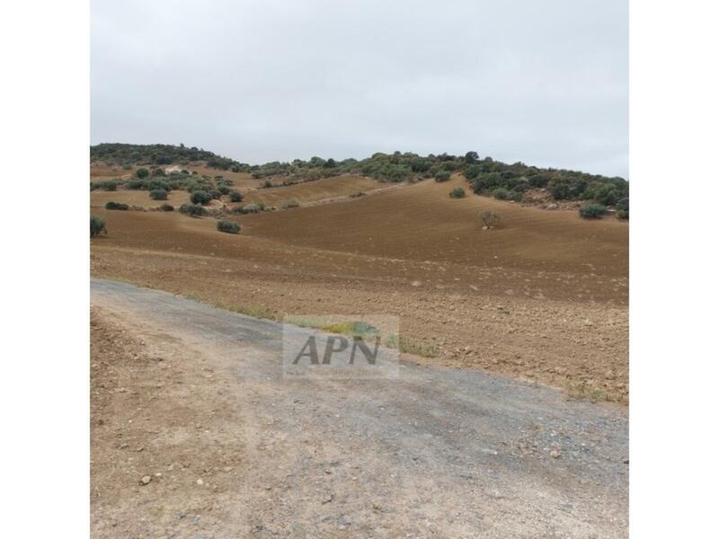 1 bedroom Country House for sale