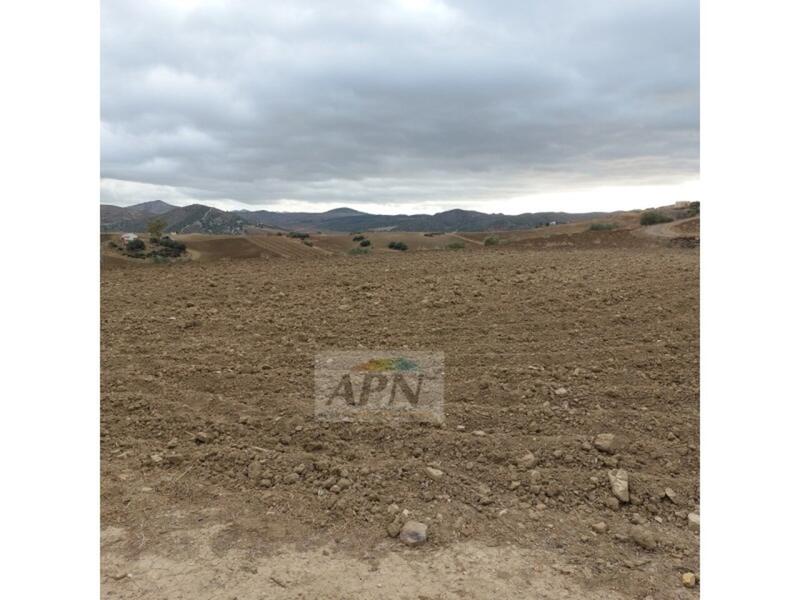 1 bedroom Country House for sale