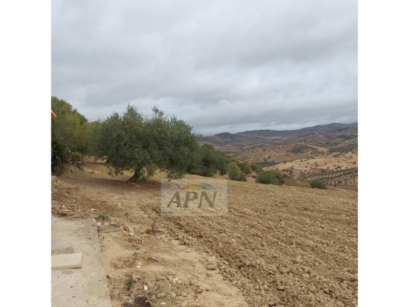 1 bedroom Country House for sale