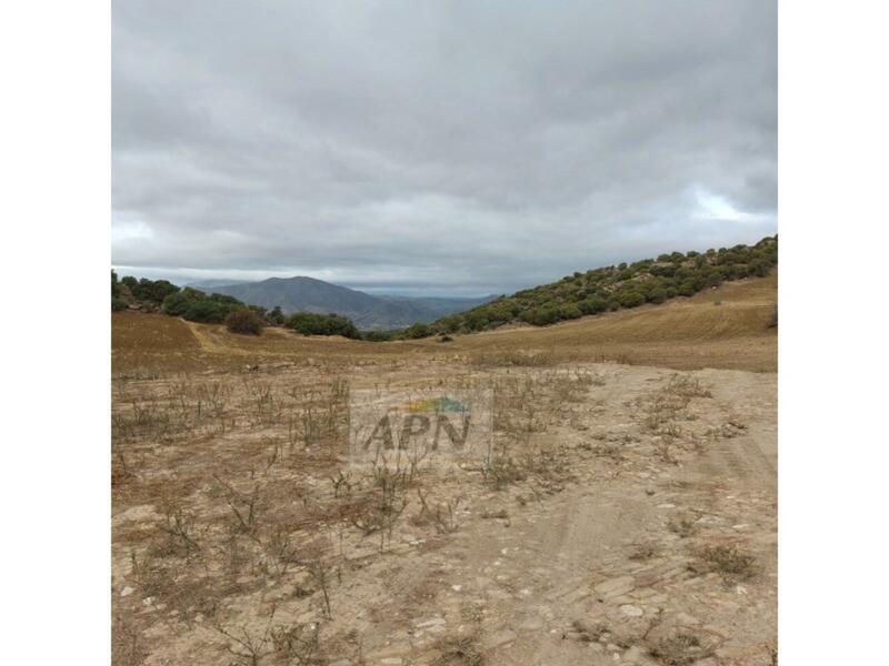 1 bedroom Country House for sale