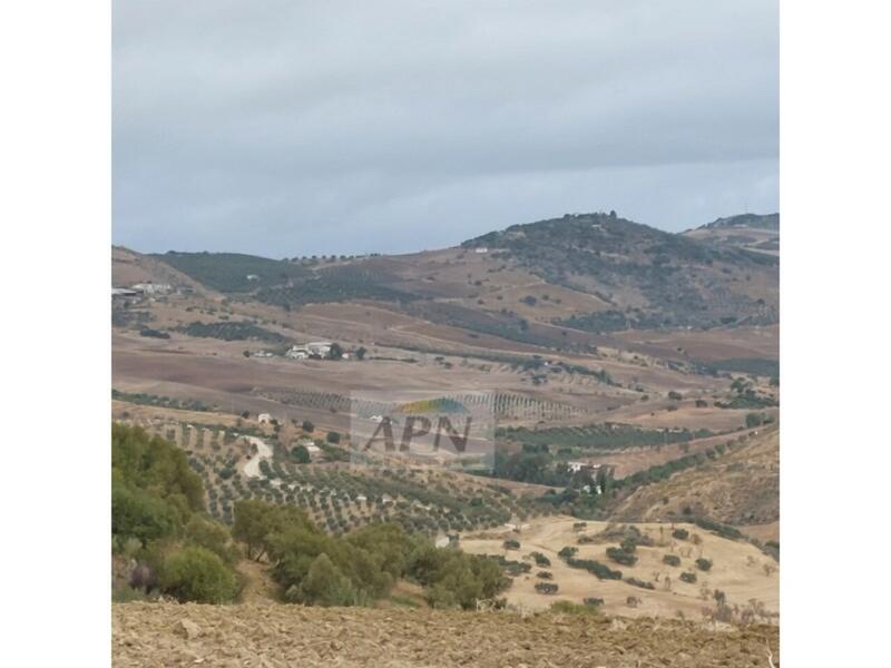 1 bedroom Country House for sale