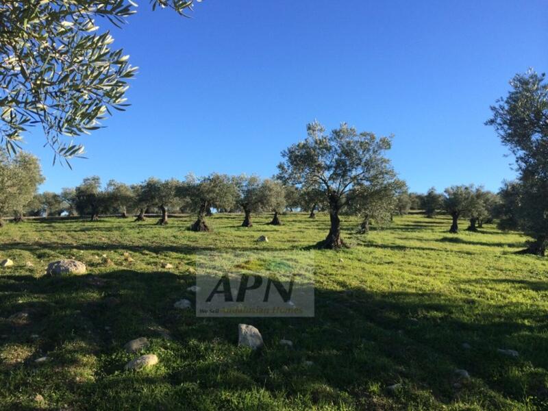 4 bedroom Country House for sale
