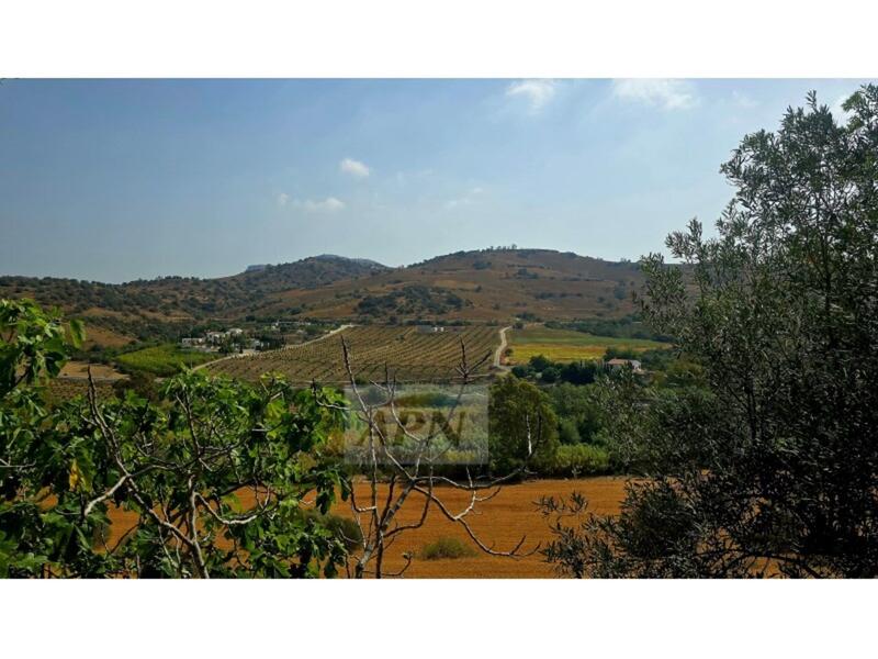 4 bedroom Country House for sale