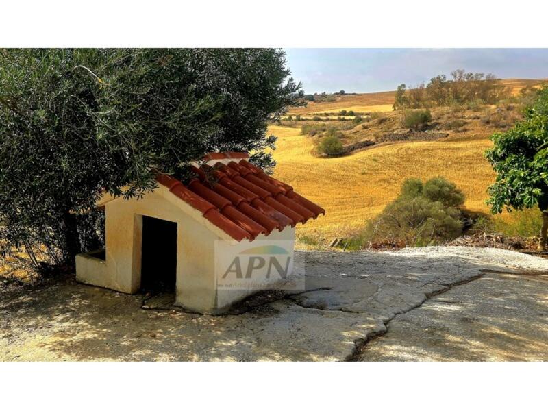 4 bedroom Country House for sale