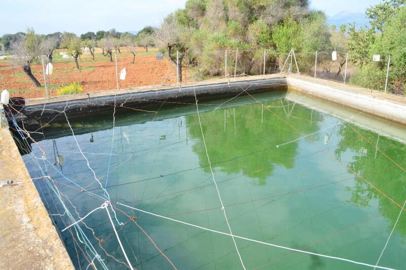 Villa for sale