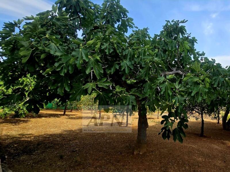 Country House for sale in Alora, Málaga