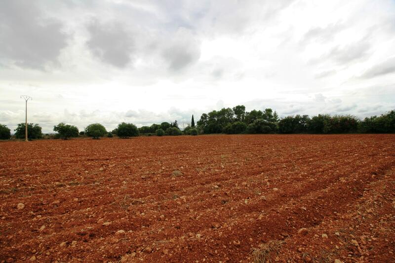 Casa de Campo en venta
