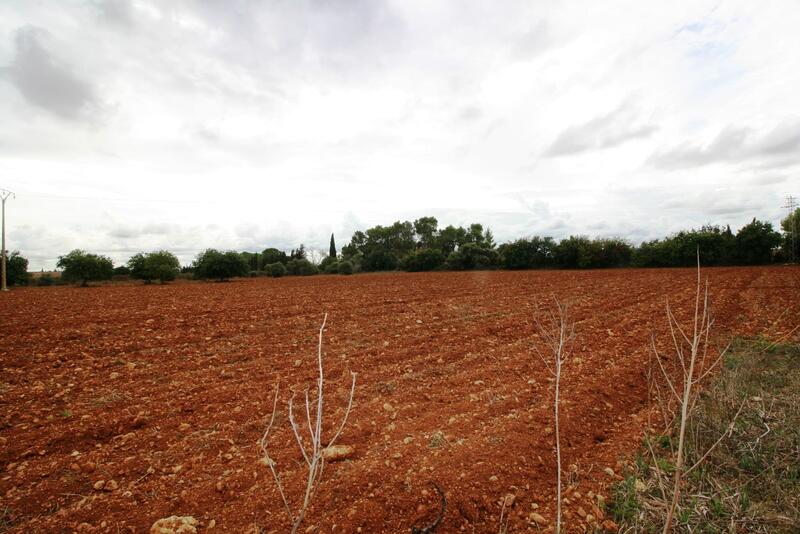 Casa de Campo en venta