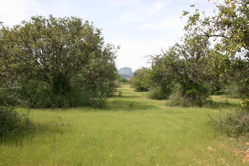 Country House for sale