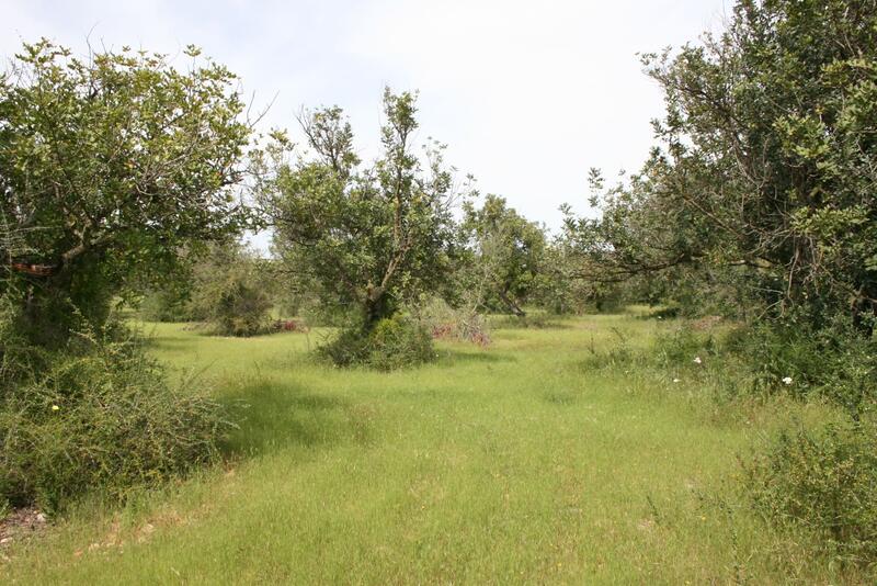 Country House for sale