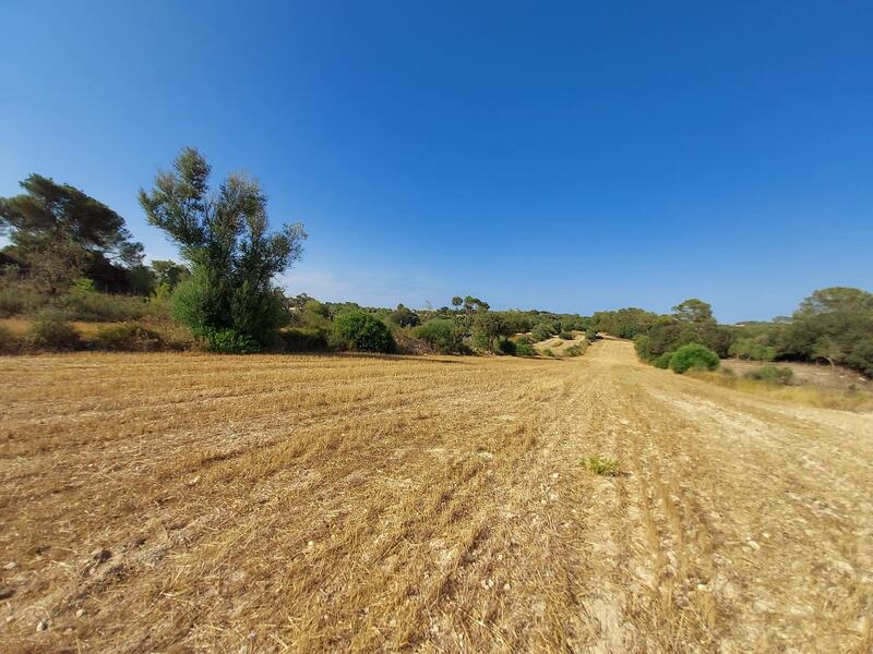 Apartment for sale in Sineu, Mallorca