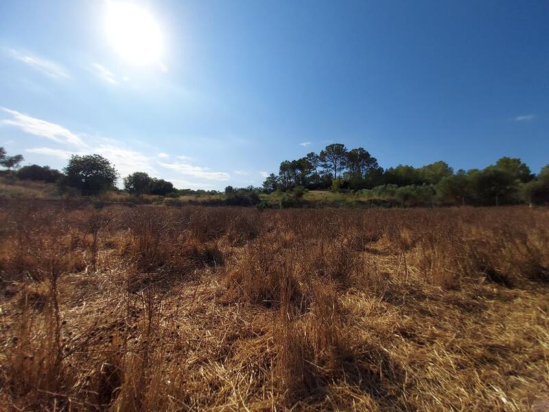 Apartment for sale in Maria de la Salut, Mallorca