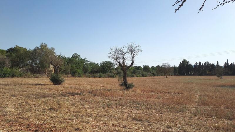 Apartment for sale in Sencelles, Mallorca