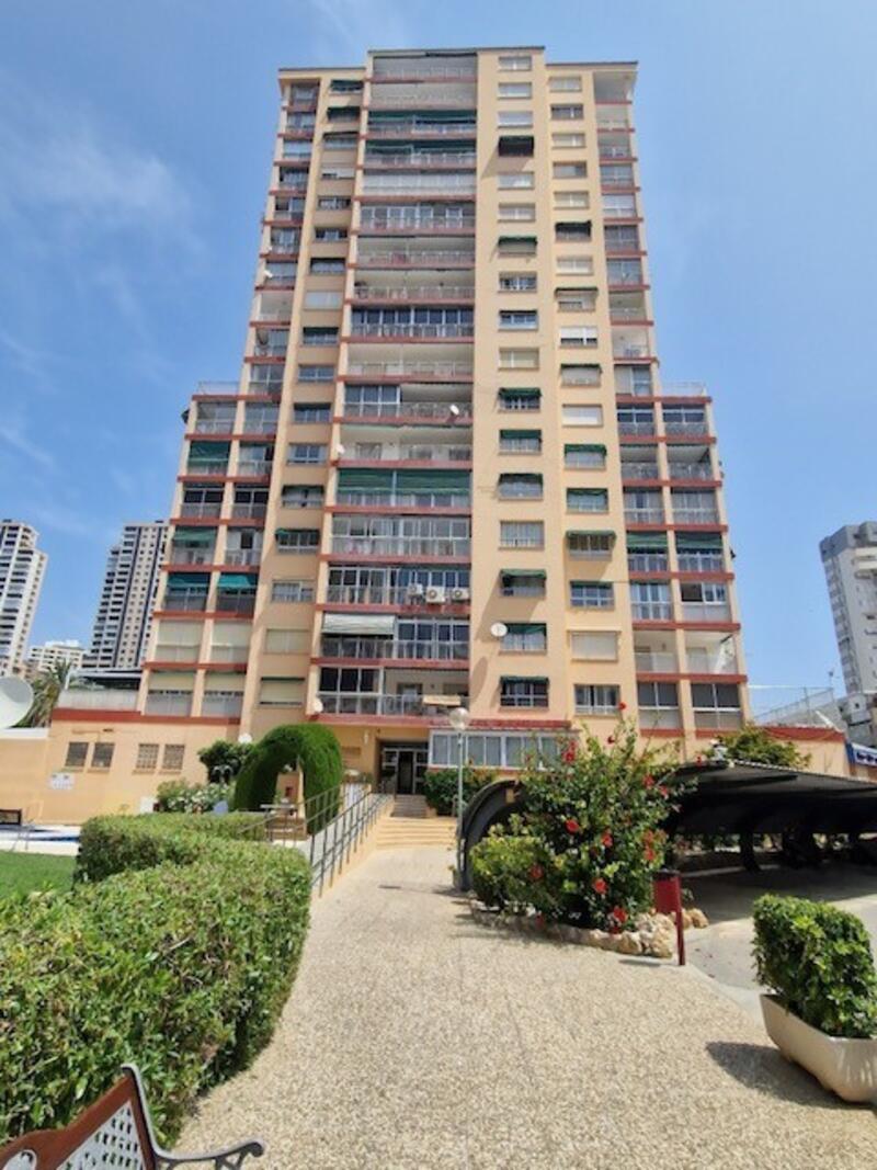 3 Cuarto Apartamento en venta