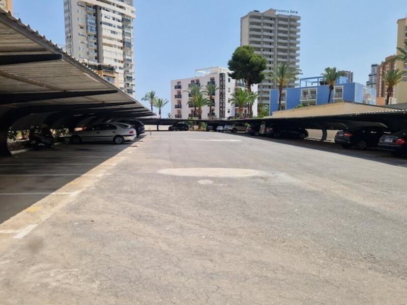 3 Cuarto Apartamento en venta