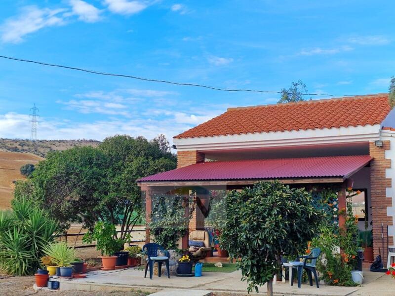 1 bedroom Country House for sale